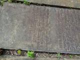image of grave number 810631